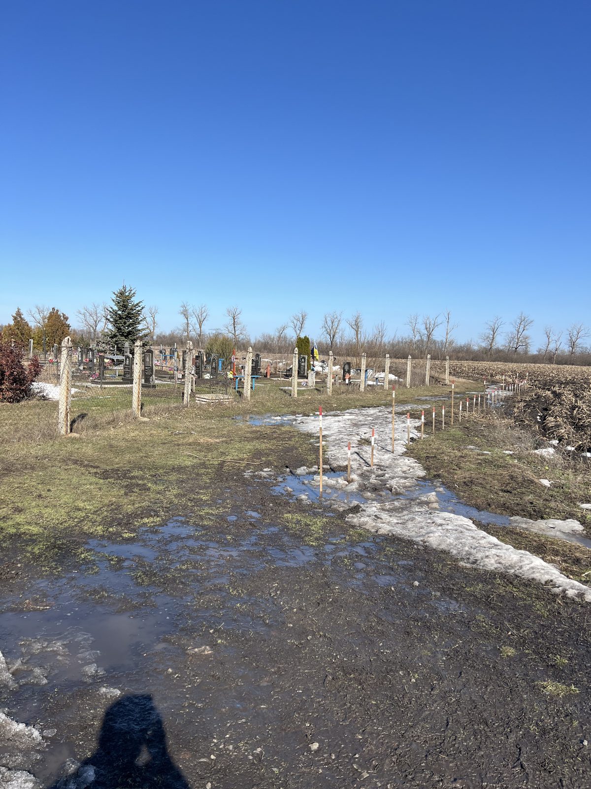 Marking stakes and cleared lanes across the cemetery site at Ivanivka
